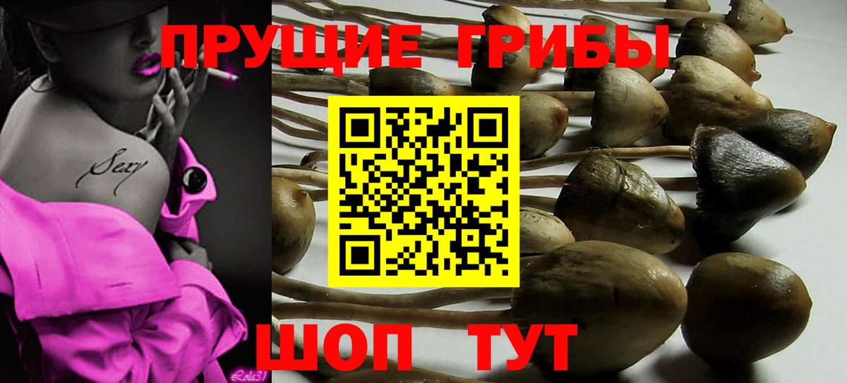 Галлюциногенные грибы Cubensis  Вход с VPN  где купить наркоту  Еманжелинск 