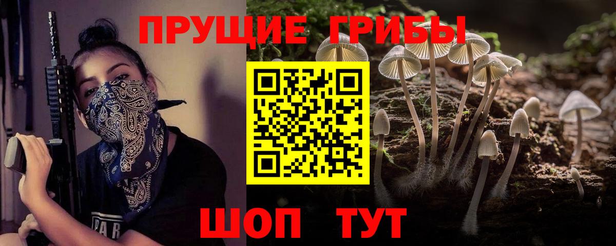 Галлюциногенные грибы Psilocybe Еманжелинск